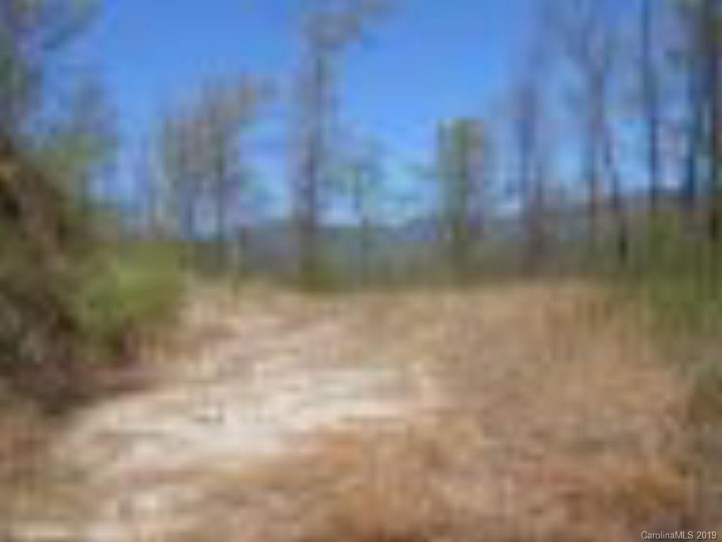 0 Claude Cook Road Sylva, NC 28779 - Photo 3 of 3 Gallery Image 3
