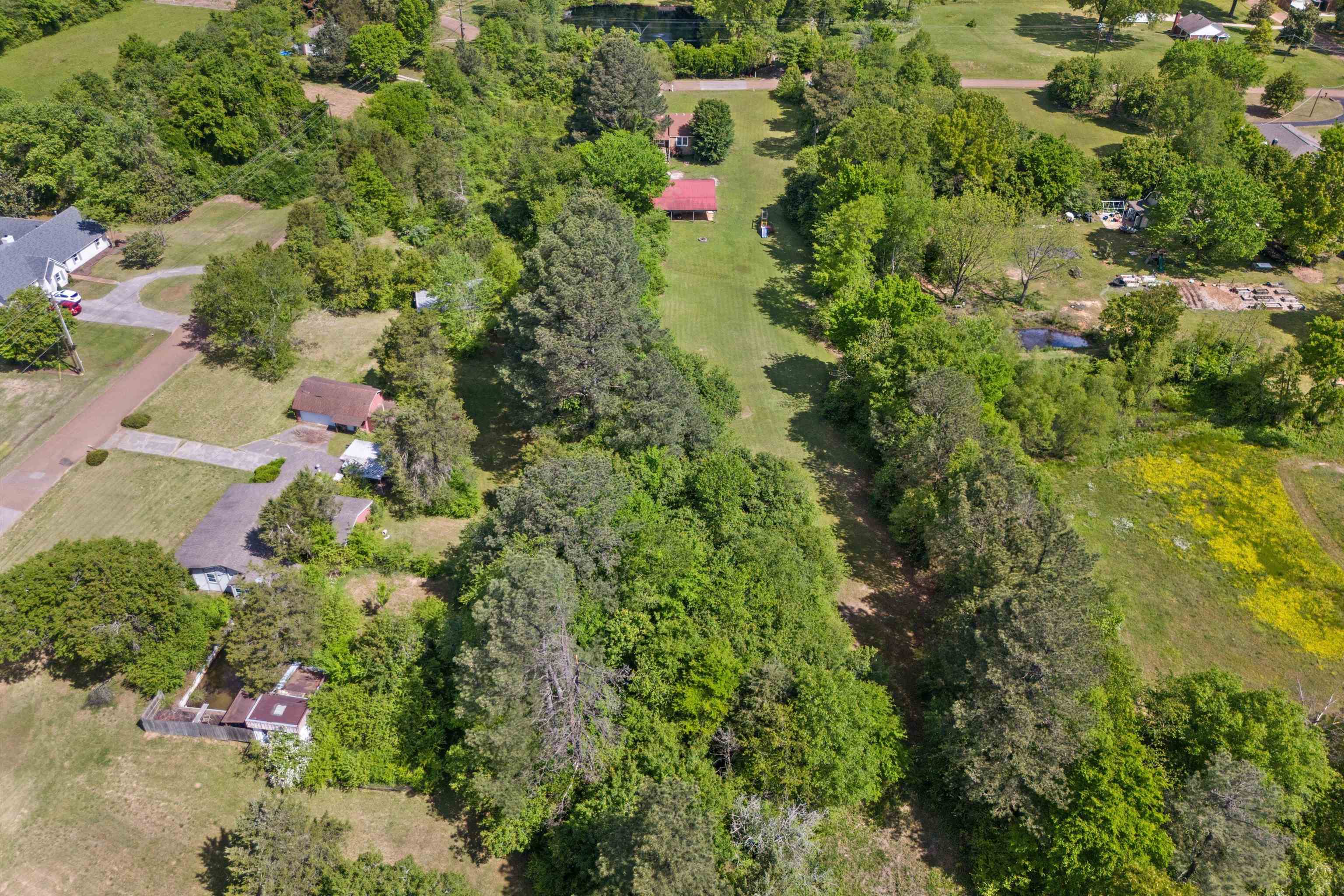 30 Blue Gray Road Piperton, TN 38017 - Photo 28 of 31 a view of a flower in a garden