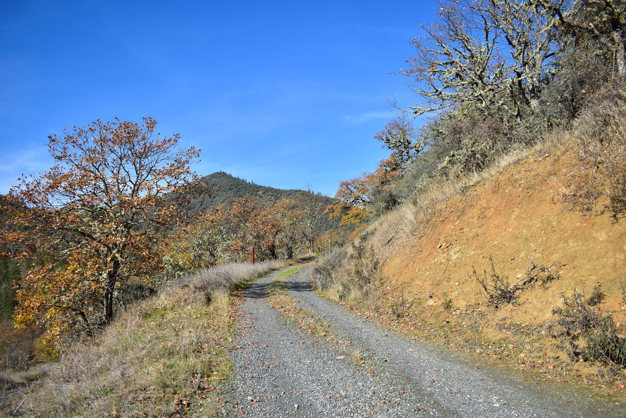 1379 Humbug Creek Road Jacksonville, OR 97530 - Photo 9 of 25 DSC_8594