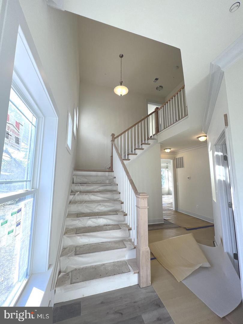 1217 Hampton Road Annapolis, MD 21409 - Photo 15 of 25 a view of staircase with lots of frames of a kitchen and a window