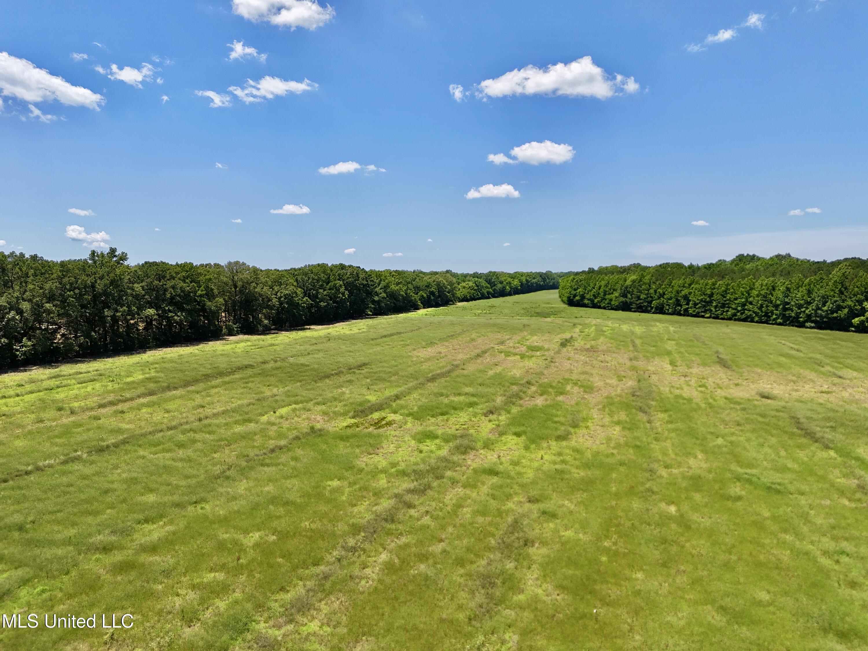 1 Johnson Line Road Bolton, MS 39041 - Photo 7 of 12 CA099D2A-05BD-4D6A-96A1-BFD07F2AF177
