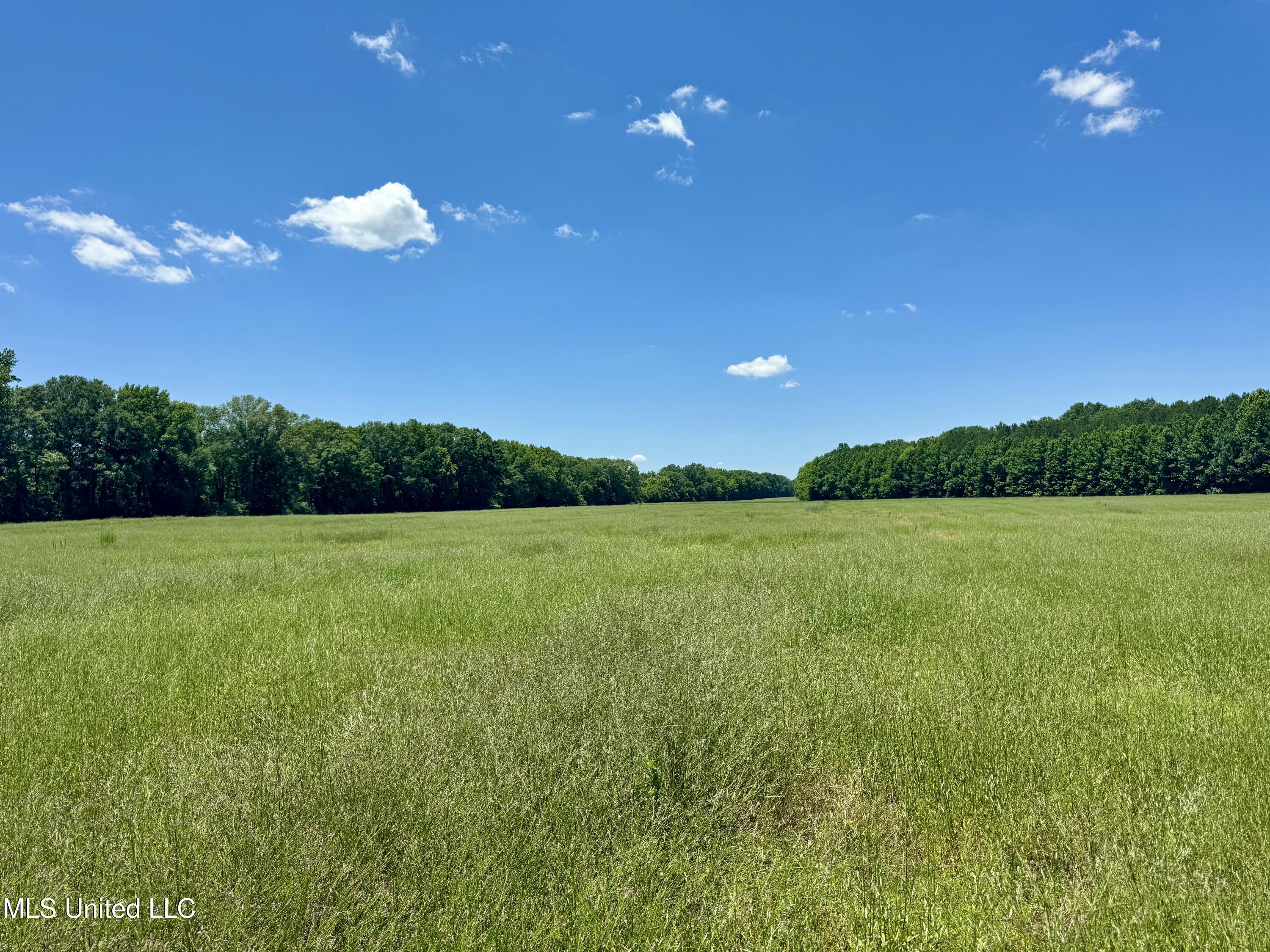 1 Johnson Line Road Bolton, MS 39041 - Photo 9 of 12 247F6DC4-F1E2-4143-9B70-017F13AA4EDE