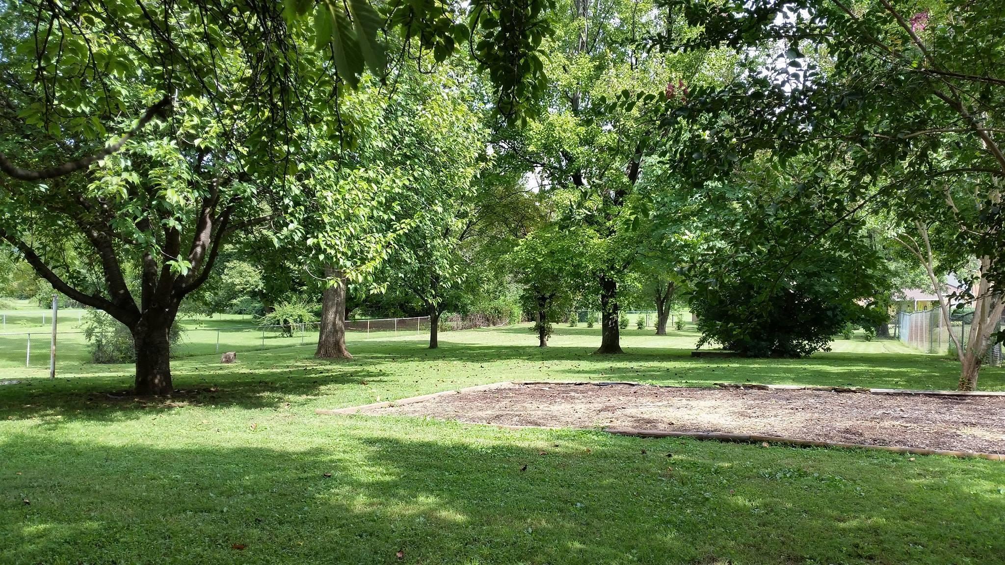 1128 Highland Road Salem, VA 24153 - Photo 5 of 28 Highland yard1