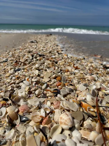 $3,000 | 959 Camp Fire Circle, Panama City Beach, FL 32413