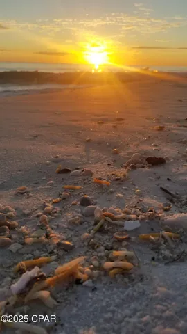 $3,000 | 959 Camp Fire Circle, Panama City Beach, FL 32413