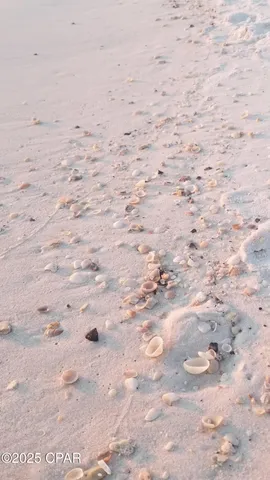 $3,000 | 959 Camp Fire Circle, Panama City Beach, FL 32413