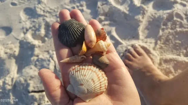 $3,000 | 959 Camp Fire Circle, Panama City Beach, FL 32413