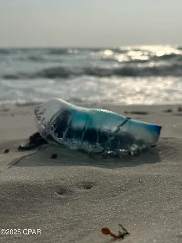 $3,000 | 959 Camp Fire Circle, Panama City Beach, FL 32413