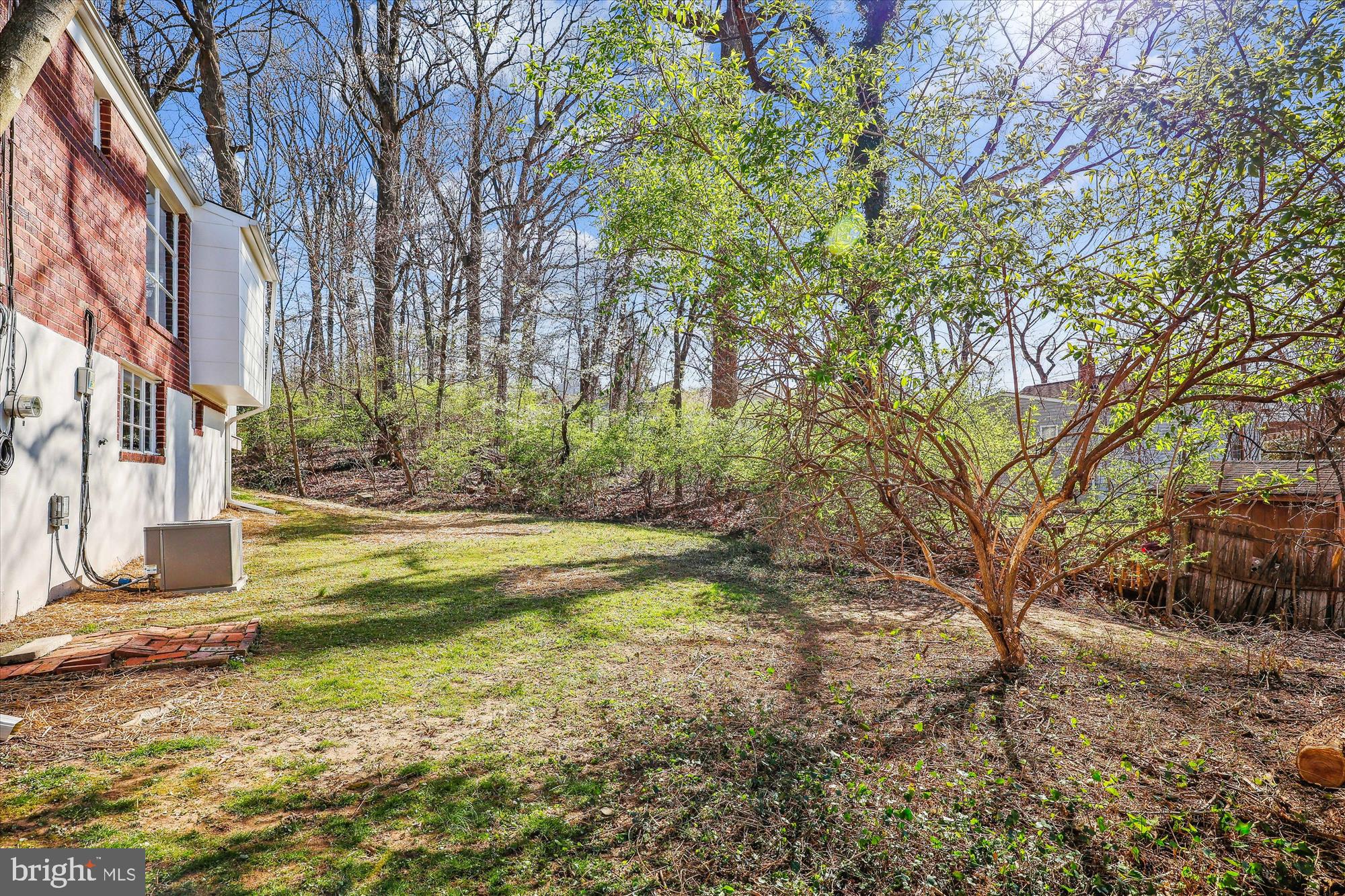 4408 Emden Street Silver Spring, MD 20906 - Photo 45 of 47 Back Yard