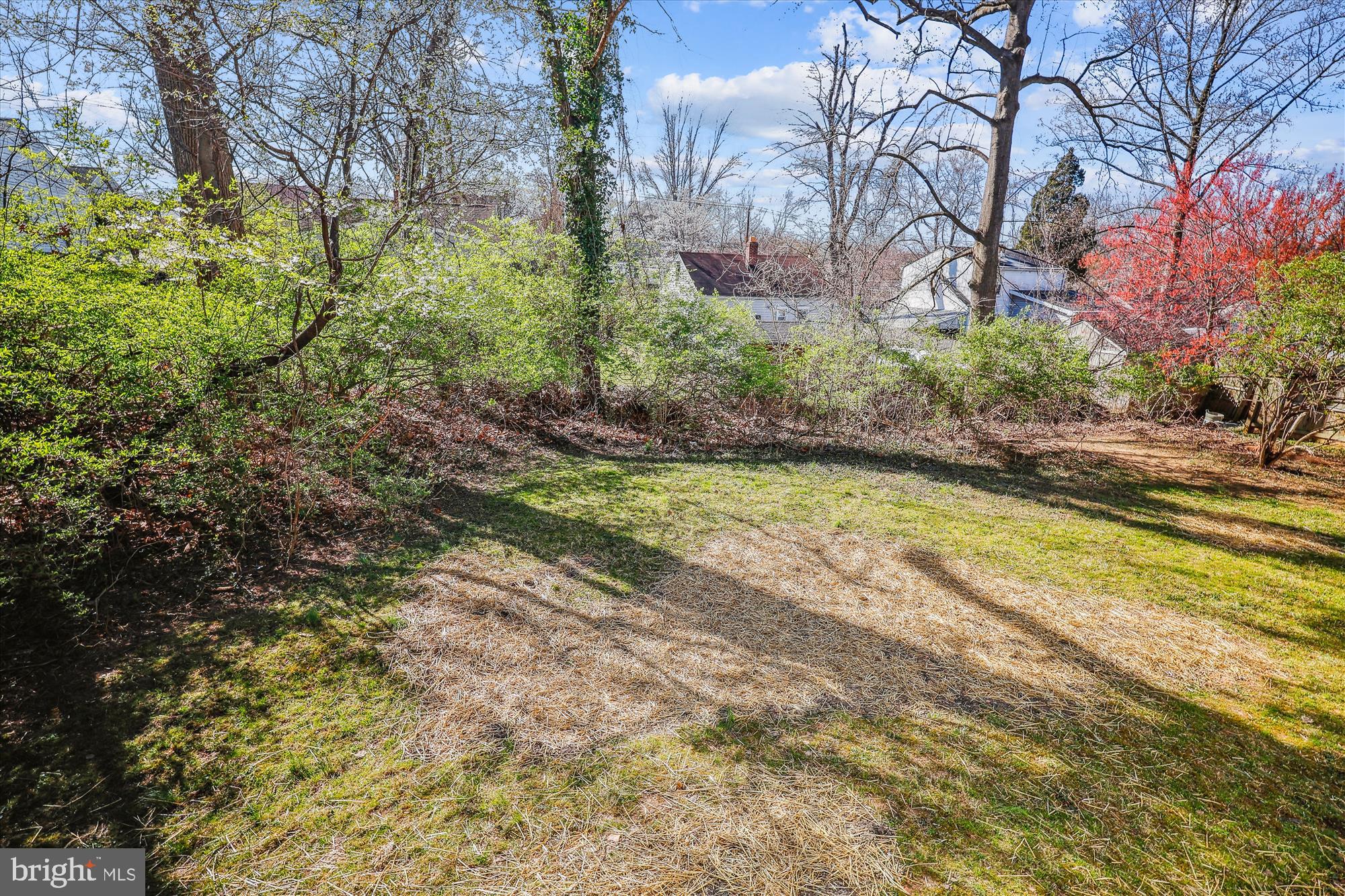 4408 Emden Street Silver Spring, MD 20906 - Photo 46 of 47 View of backyard