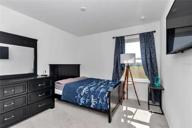 a bedroom with a bed and a flat tv screen on dresser