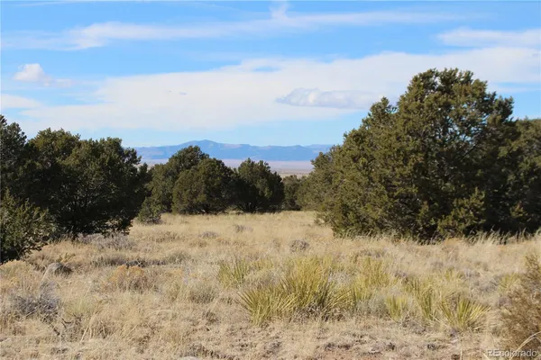 $17,000 | 3233 Camino Del Rey, Crestone, CO 81131