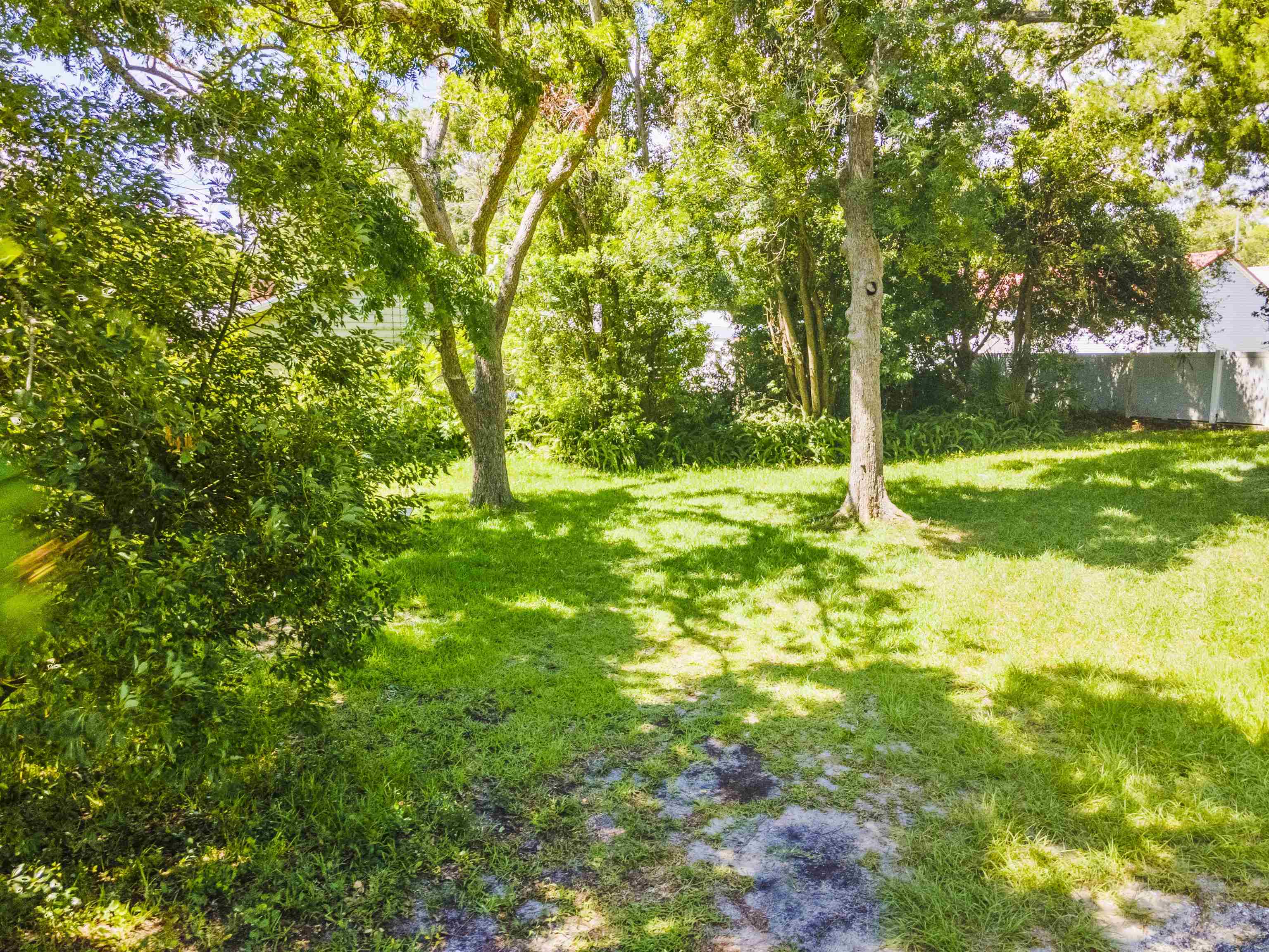 26 Rio Vista Drive St. Augustine, FL 32084 - Photo 83 of 91 a backyard of a house with lots of plants and large trees