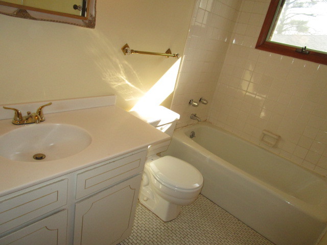 18542 Bock Road Lansing, IL 60438 - Photo 13 of 30 a bathroom with a sink a toilet and shower