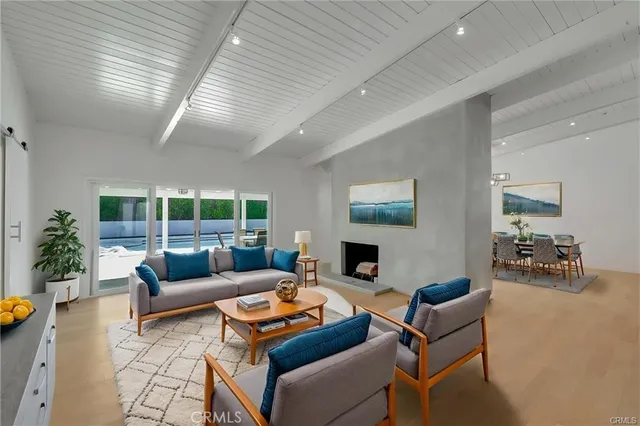 a living room with furniture a fireplace and a potted plant