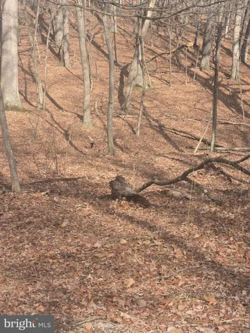 a view of wooden door