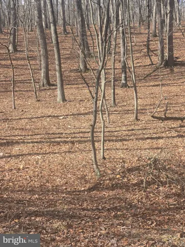 a picture of street view