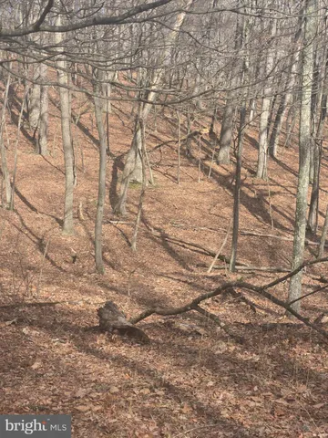a view of a park with benches in a park