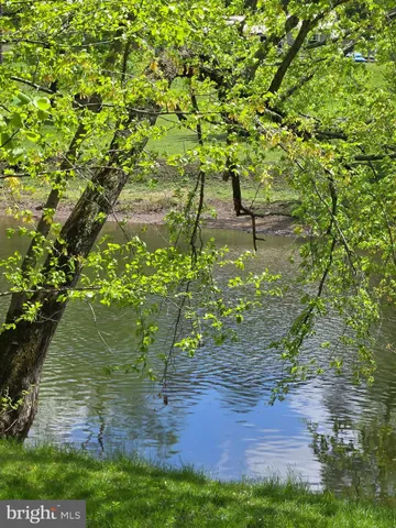 a body of water with a tree in the background