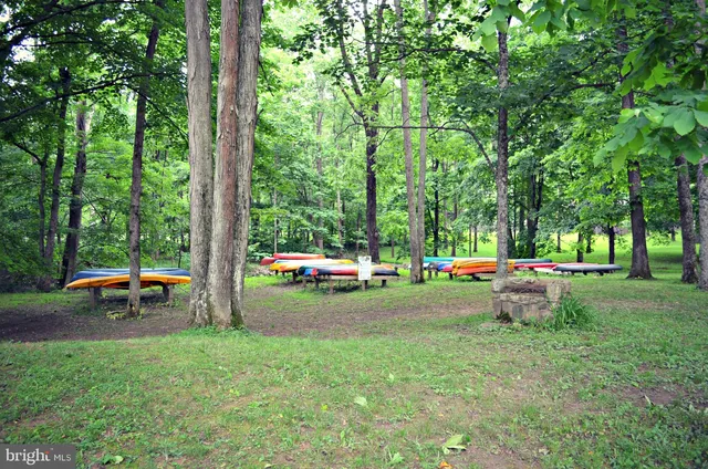a view of a garden with a lake