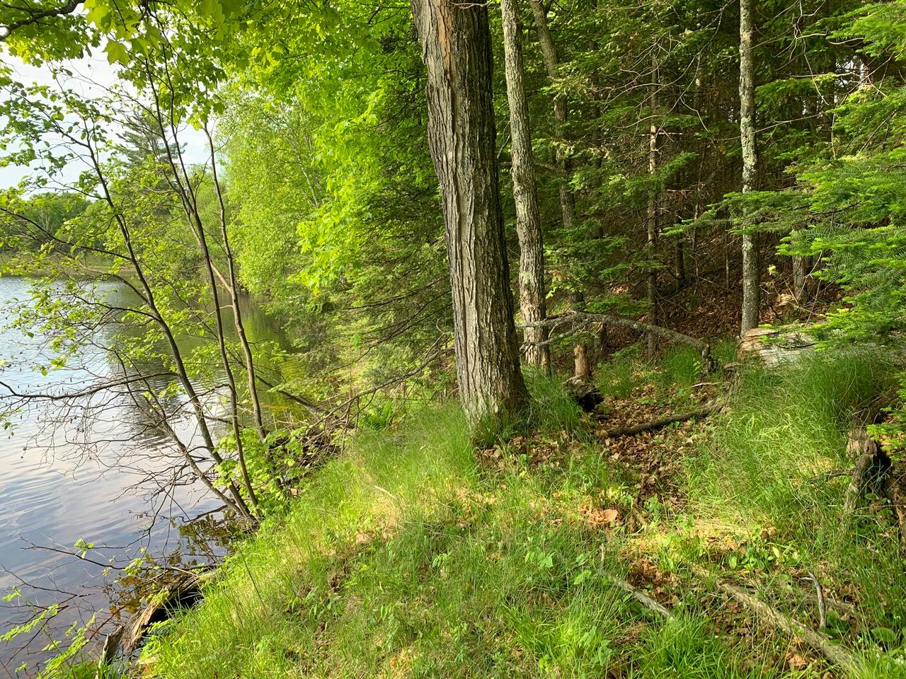 Lot 1 Fisher Lake Road Mercer, WI 54547 - Photo 9 of 15 Gallery Image 9