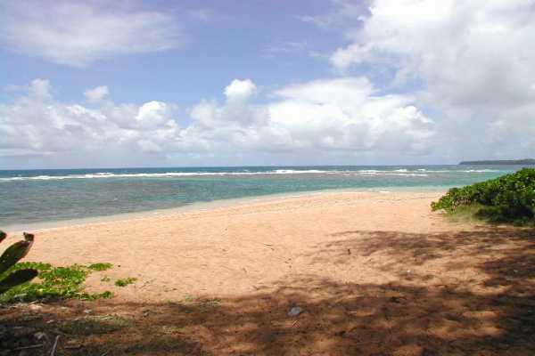4445 Alamoo Road Hanalei, HI 96714 - Photo 4 of 6 a view of an ocean and beach