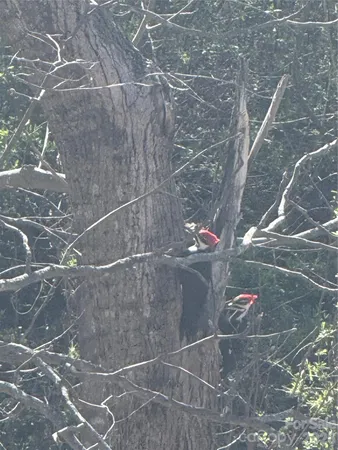 $1,000,000 | 46 Carden Drive, Unit 10, Weaverville, NC 28787