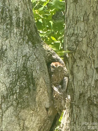 $1,000,000 | 46 Carden Drive, Unit 10, Weaverville, NC 28787