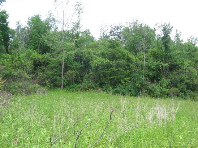 Tbd Burns Line Croswell, MI 48422 - Photo 10 of 19