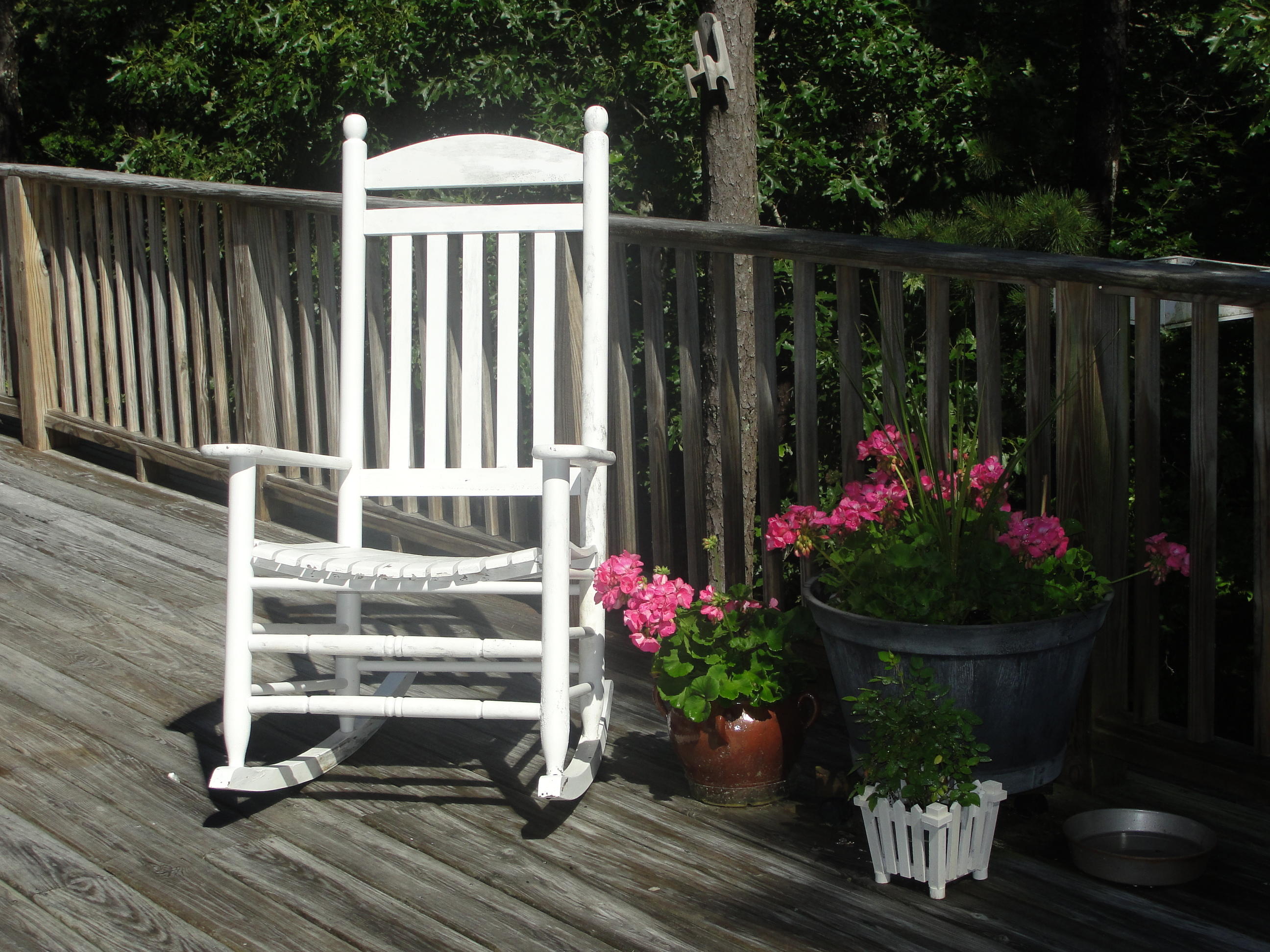 273 Red Fawn Road Brewster, MA 02631 - Photo 30 of 32 DSC05847