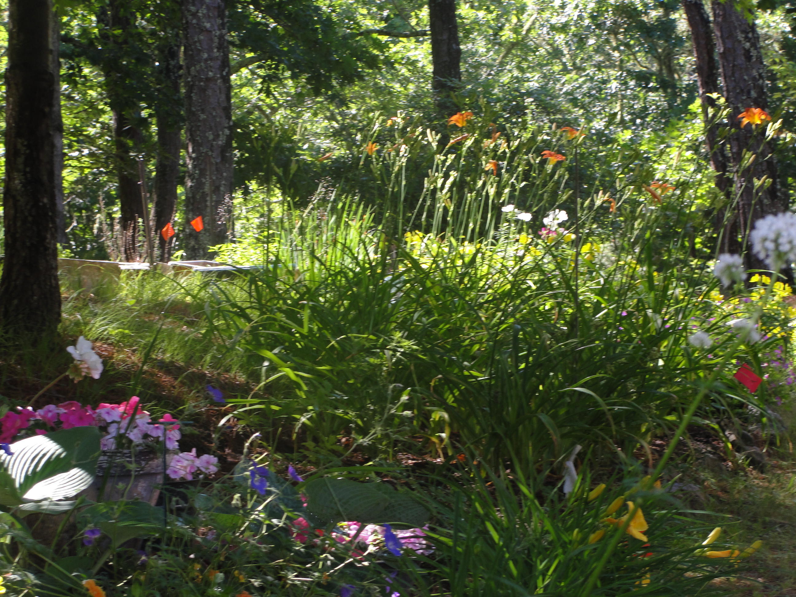 273 Red Fawn Road Brewster, MA 02631 - Photo 32 of 32 DSC05849
