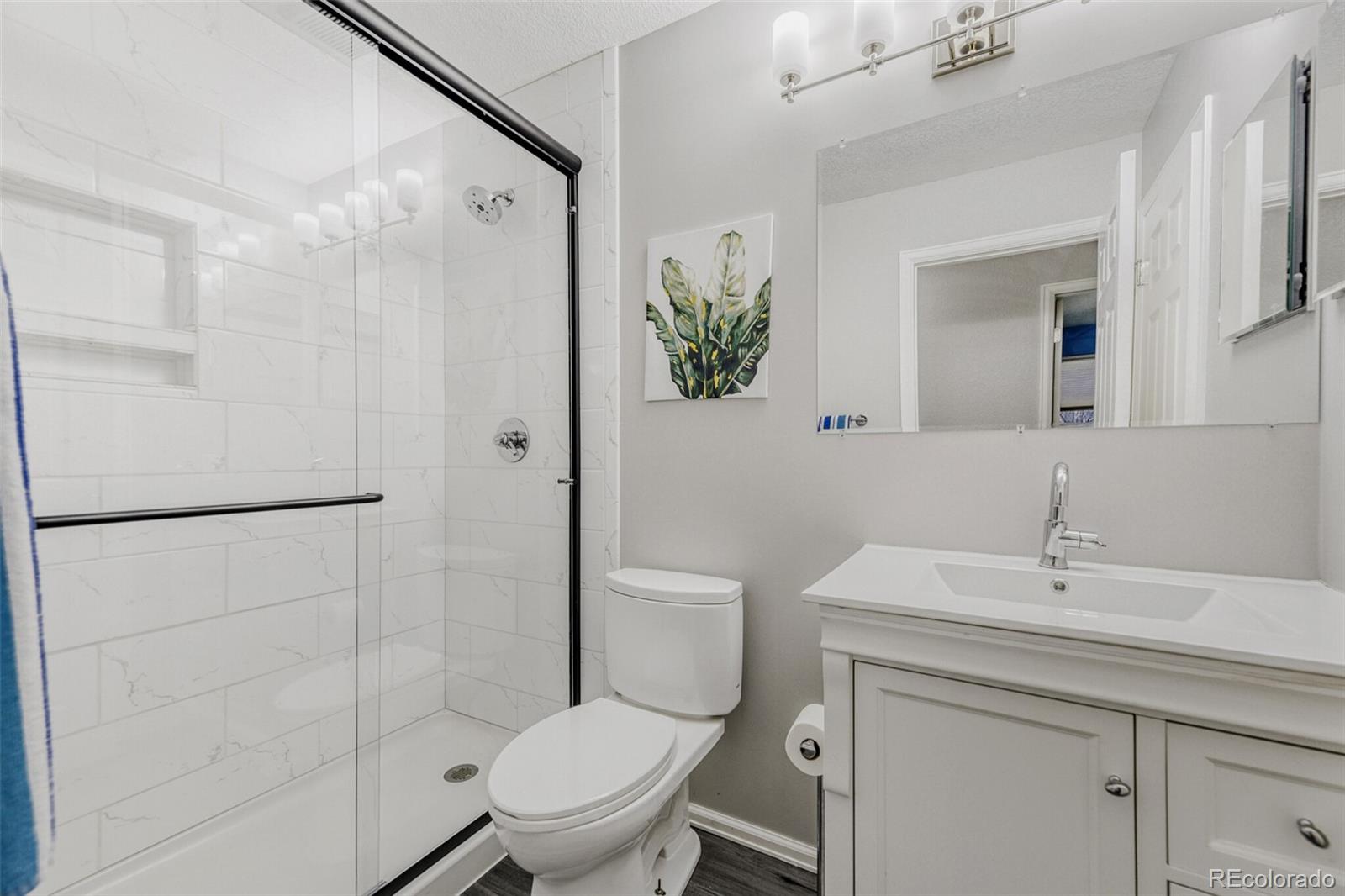 7085 Leopard Gate Lone Tree, CO 80124 - Photo 17 of 26 a bathroom with a toilet a sink and a mirror
