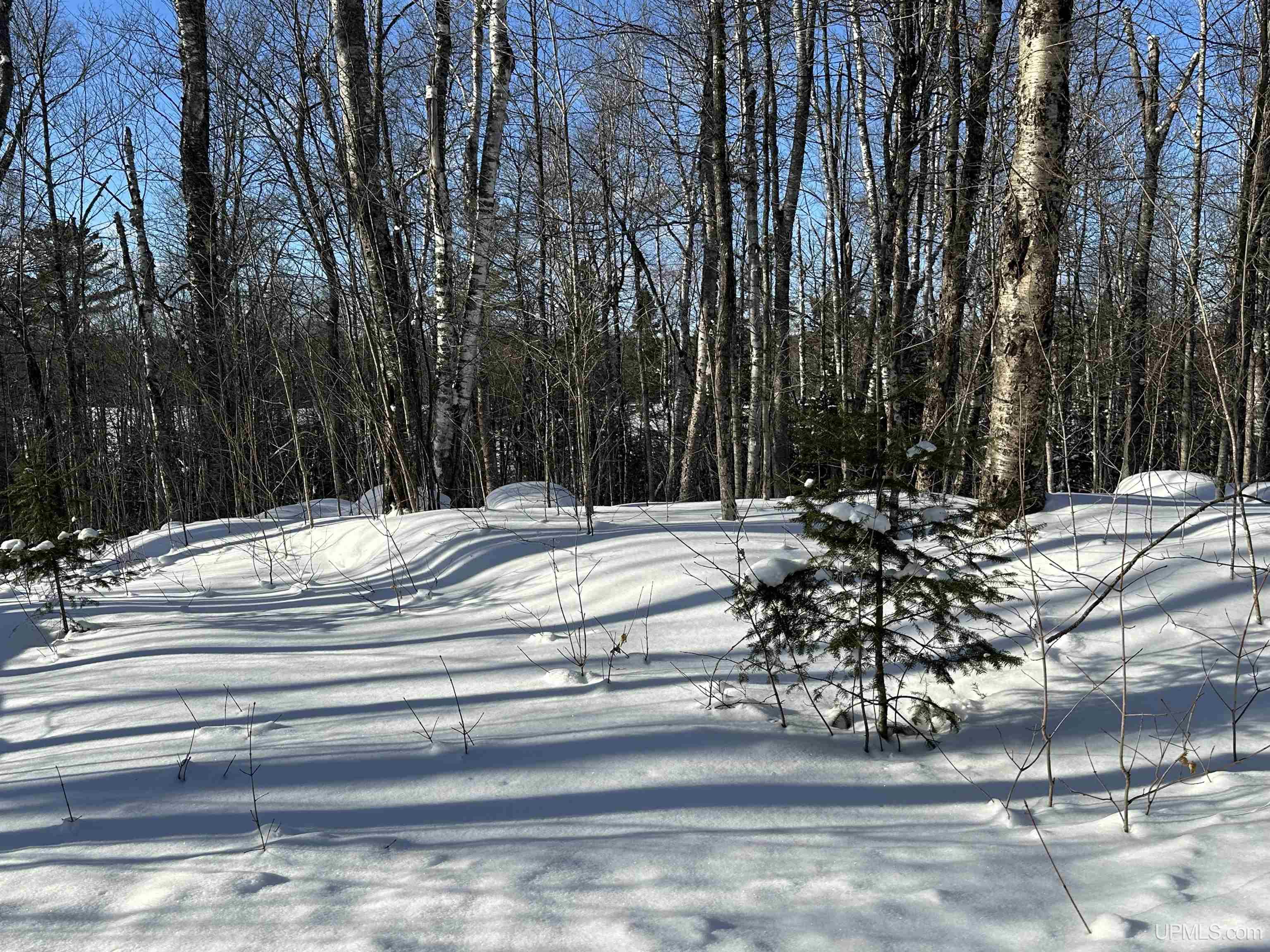 Lot 29 Secluded Point Road Michigamme, MI 49861 - Photo 15 of 21 Gallery Image 15