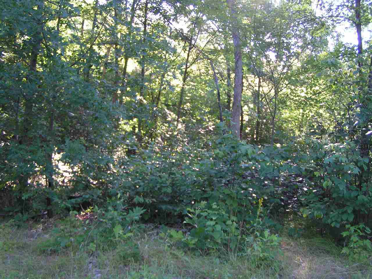 38-acres Lea Road Mosinee, WI 54455 - Photo 1 of 1