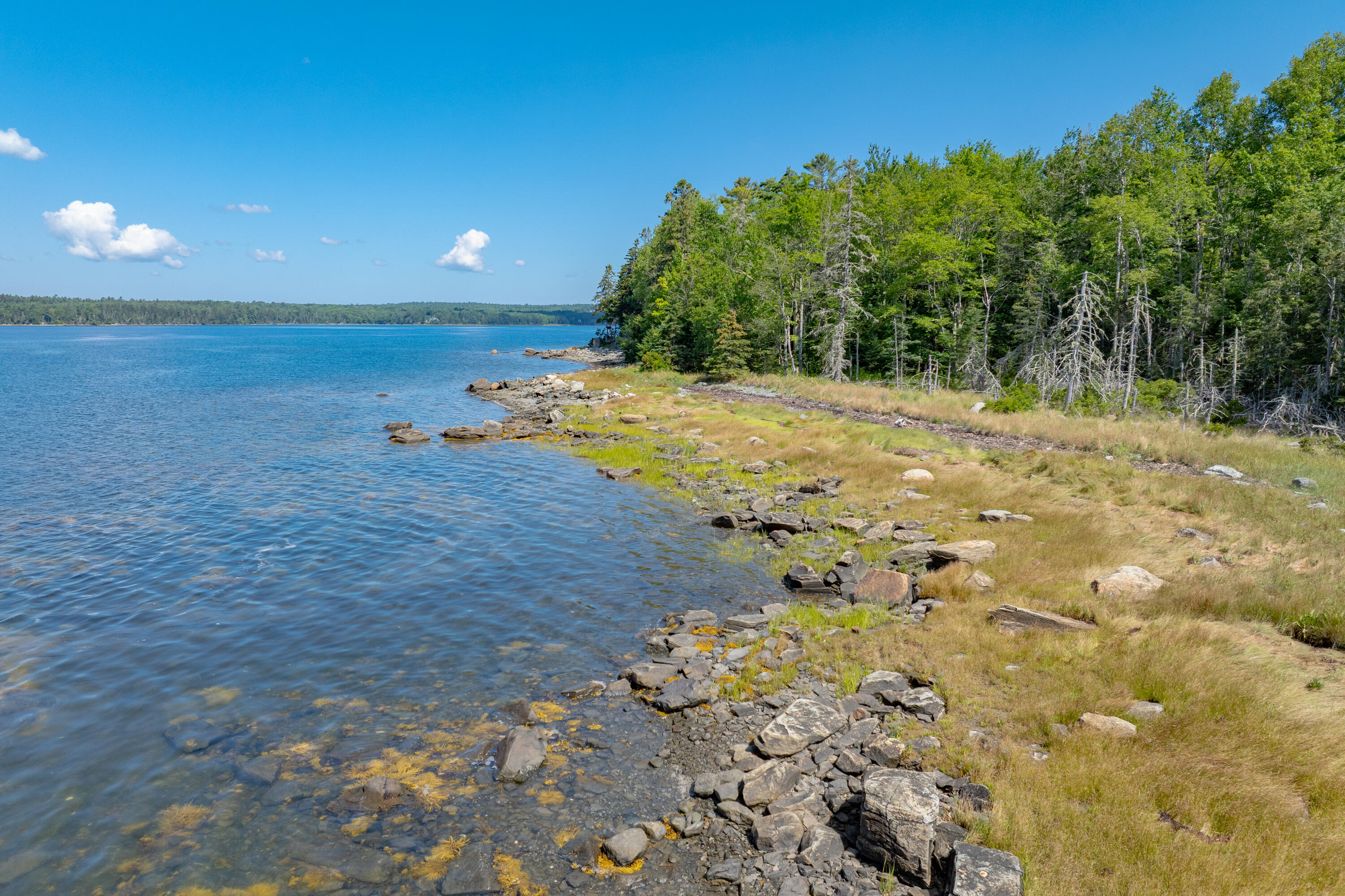 0 Bayside Road Spring Ellsworth, ME 04605 - Photo 4 of 12 03 Bayside Land, Lot 3-DTP
