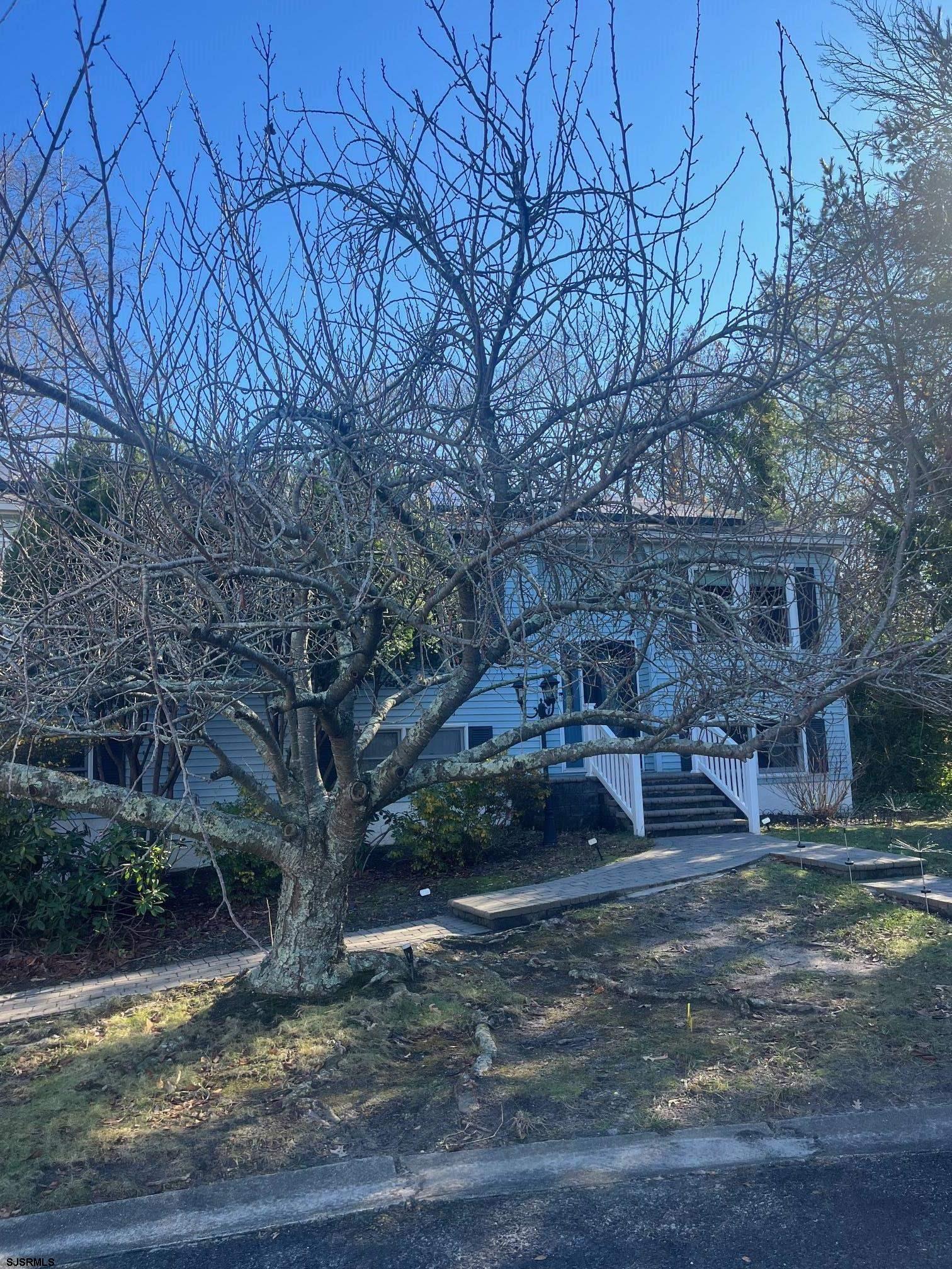 6 Abbey Road Somers Point, NJ 08244 - Photo 2 of 6 a view of a backyard with large trees