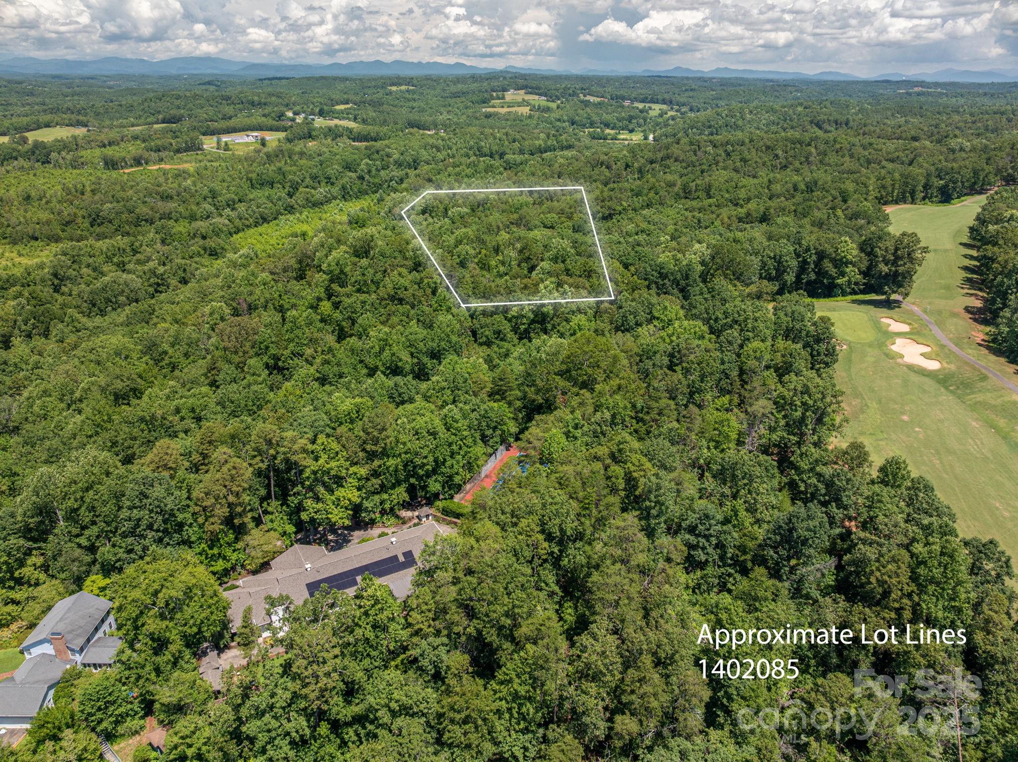 Lot Coxe Coxe Road Rutherfordton, NC 28139 - Photo 2 of 15 a view of a lush green forest with lots of trees