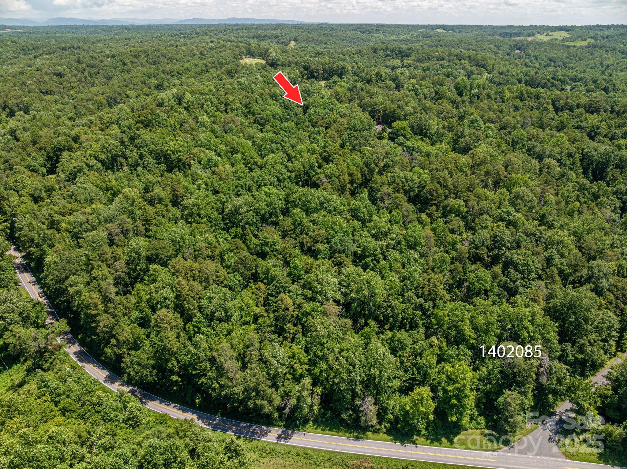 Lot Coxe Coxe Road Rutherfordton, NC 28139 - Photo 5 of 15 a view of a outdoor space with lots of trees