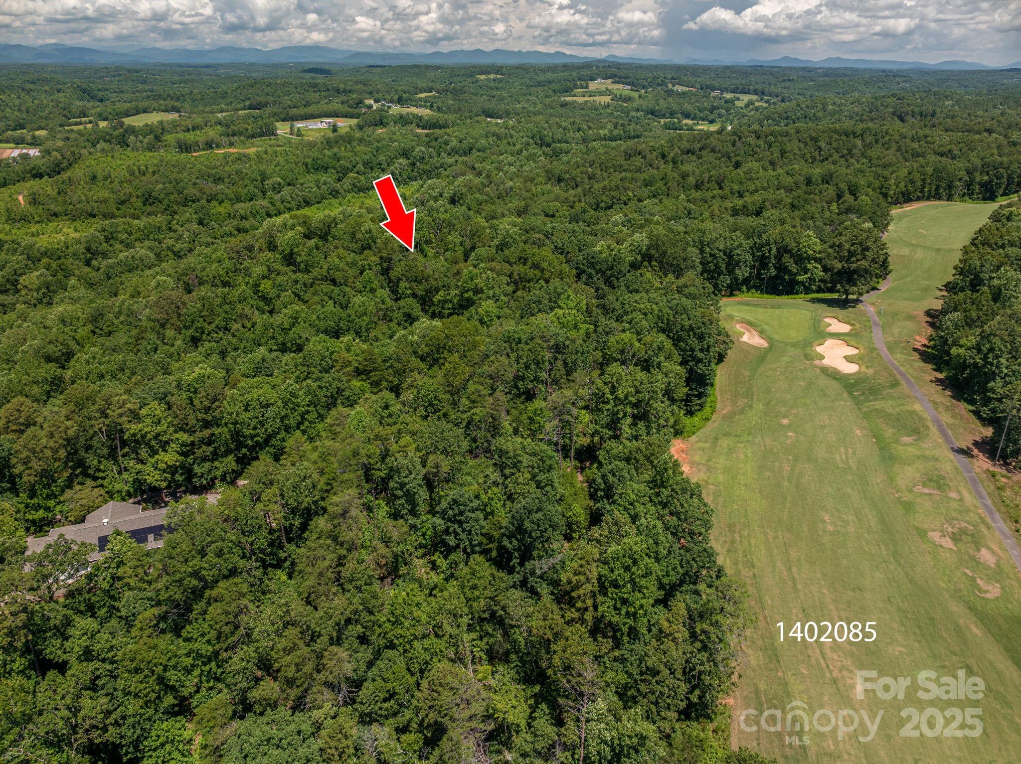 Lot Coxe Coxe Road Rutherfordton, NC 28139 - Photo 6 of 15 a backyard of a house with a yard and lake view