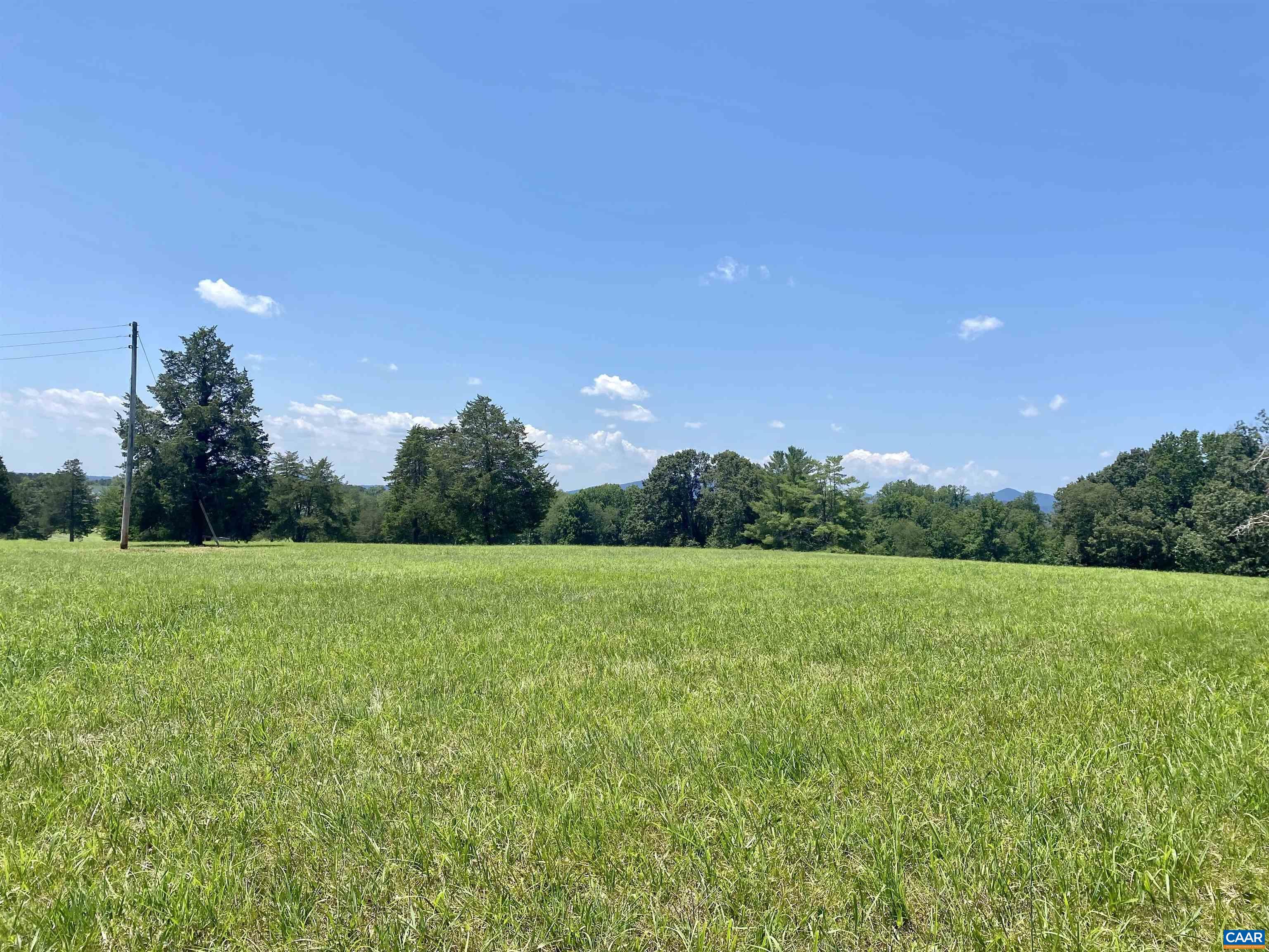695 Patrick Henry Highway Amherst, VA 24521 - Photo 6 of 16 a view of field with tall trees