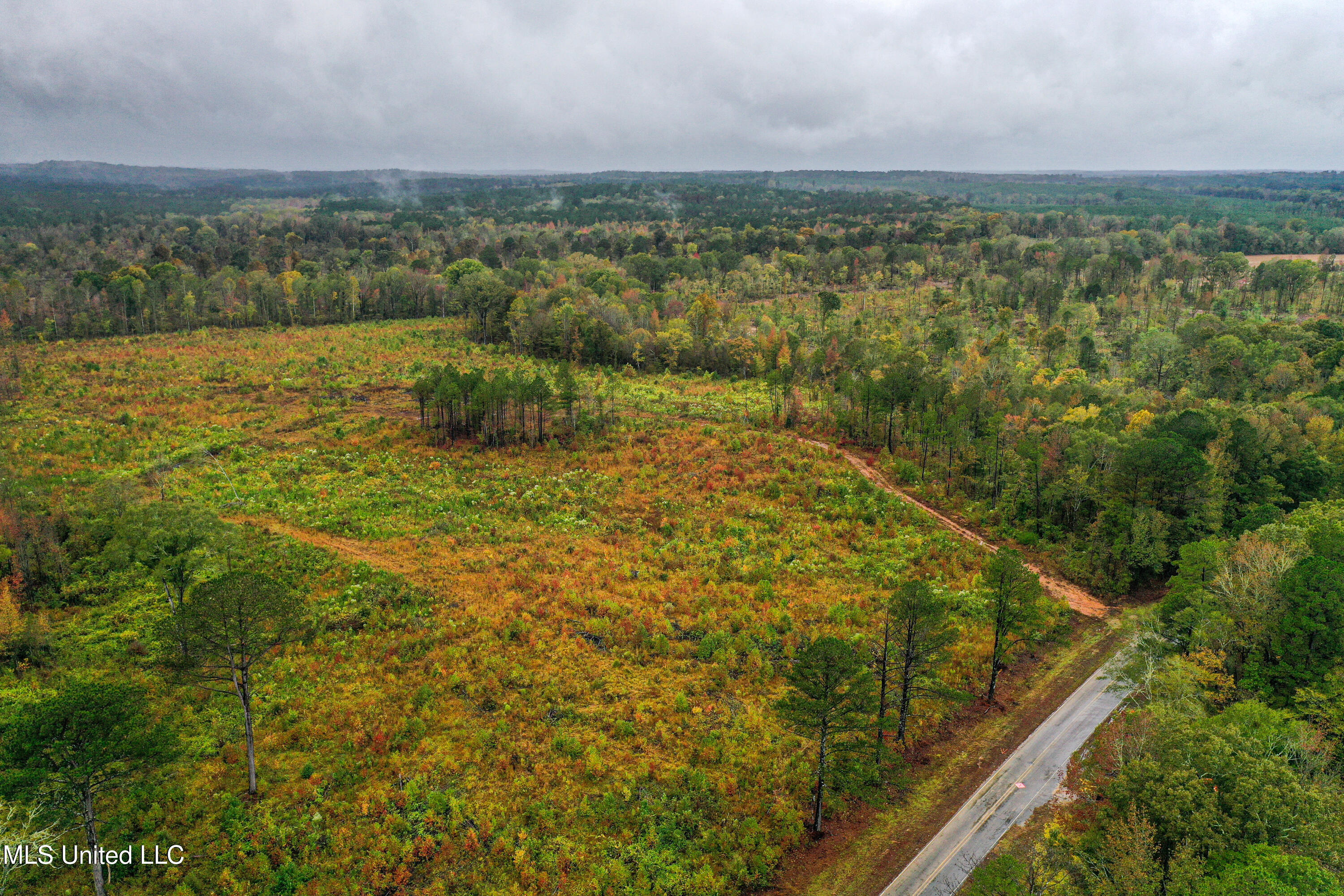 1 Alva Road Eupora, MS 39744 - Photo 1 of 16 DJI_0500
