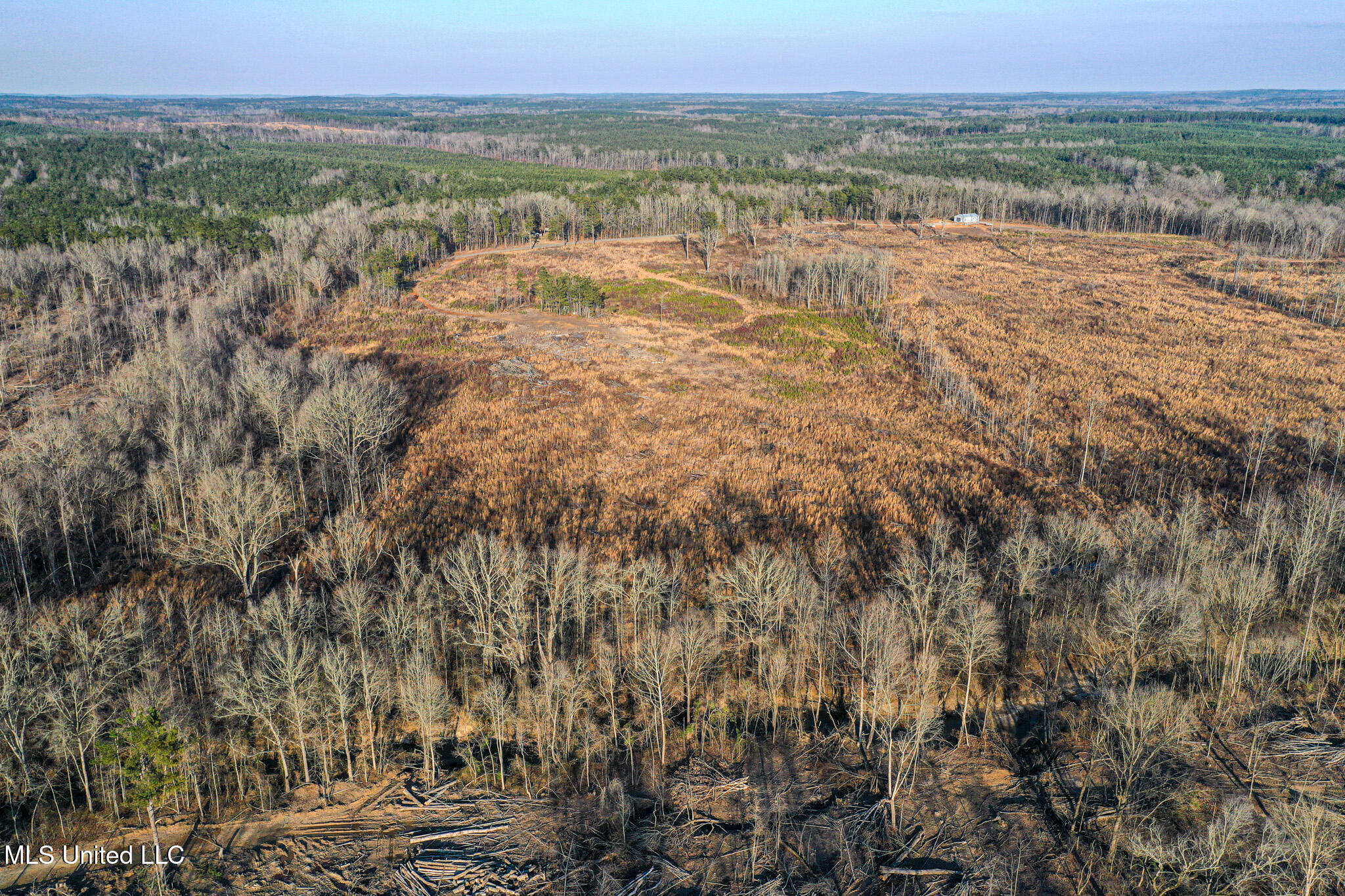 1 Alva Road Eupora, MS 39744 - Photo 11 of 17 DJI_0592