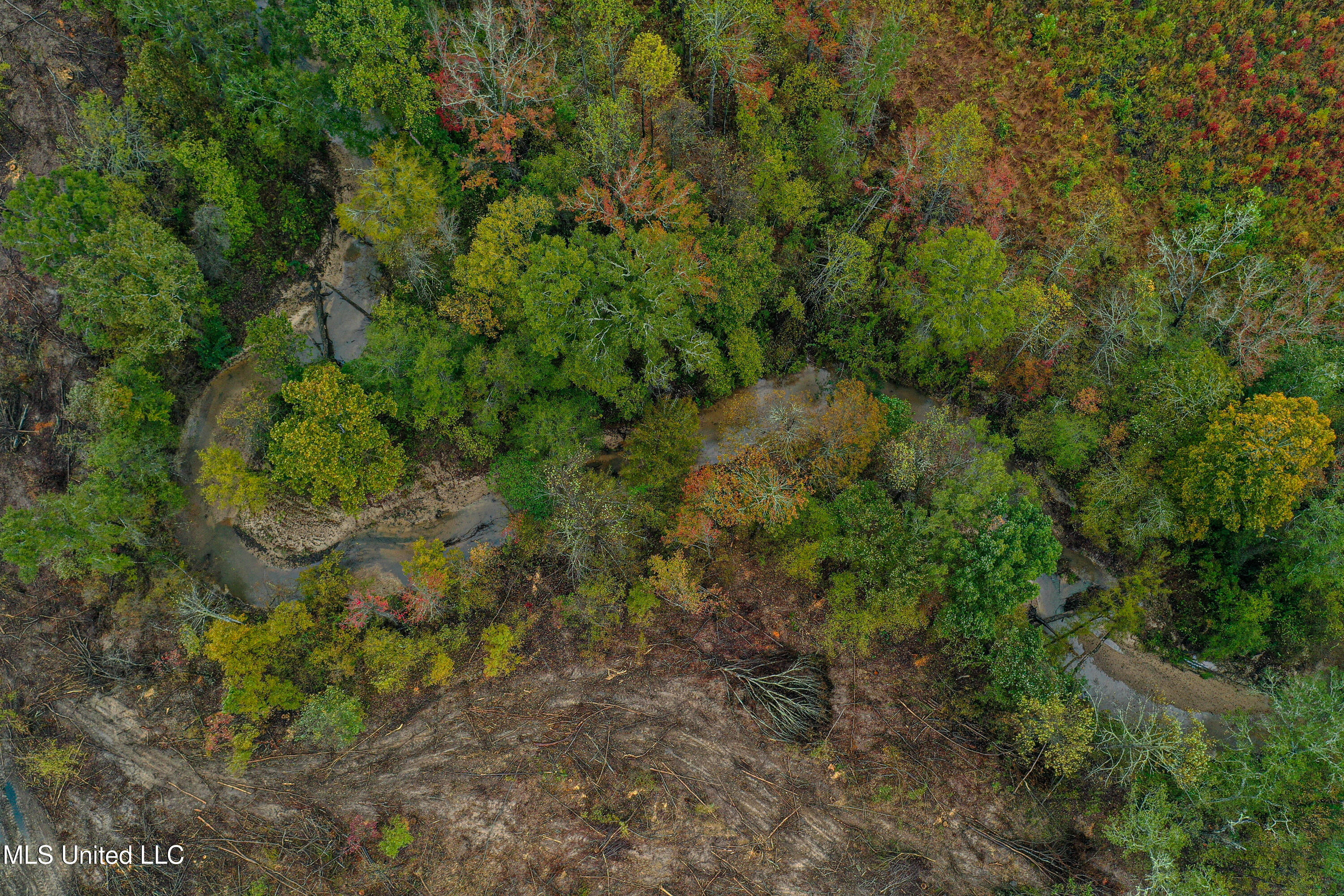 1 Alva Road Eupora, MS 39744 - Photo 11 of 16 DJI_0512
