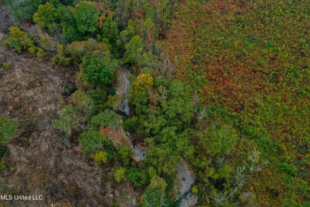 $99,680 | 1 Alva Road, Eupora, MS 39744