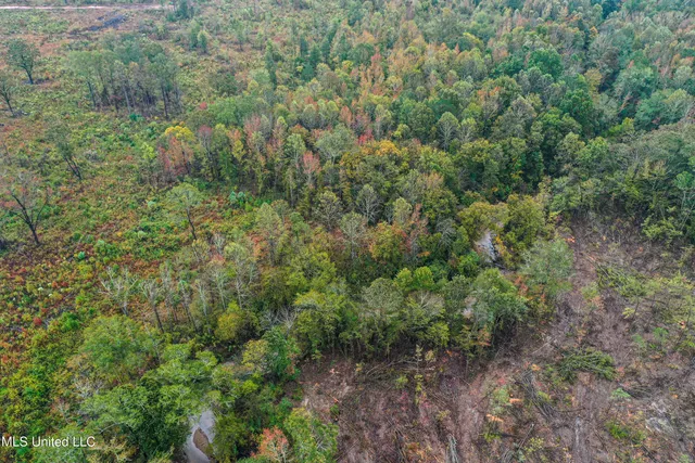 $99,680 | 1 Alva Road, Eupora, MS 39744