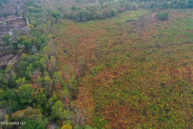 $99,680 | 1 Alva Road, Eupora, MS 39744