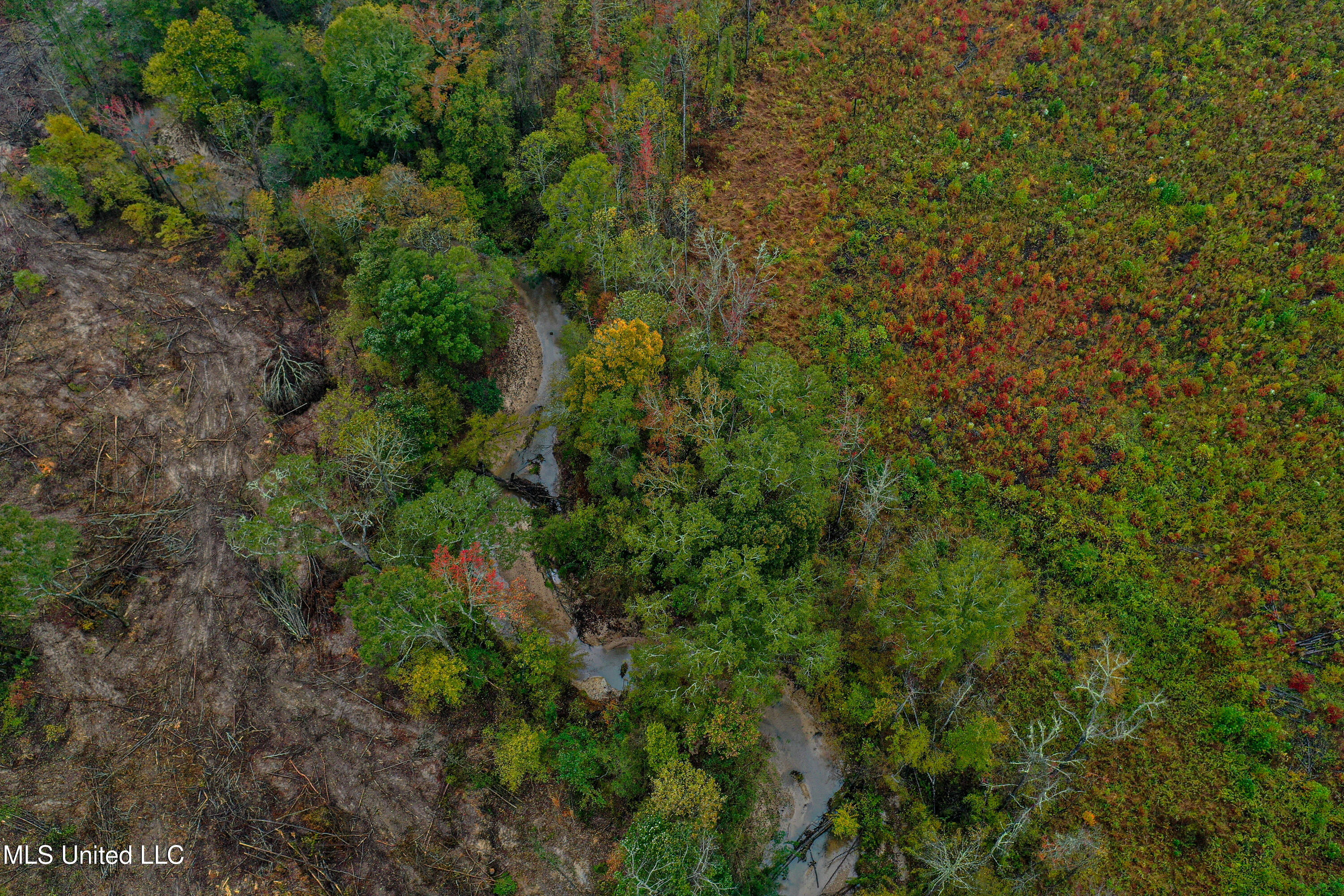 1 Alva Road Eupora, MS 39744 - Photo 14 of 17 DJI_0517