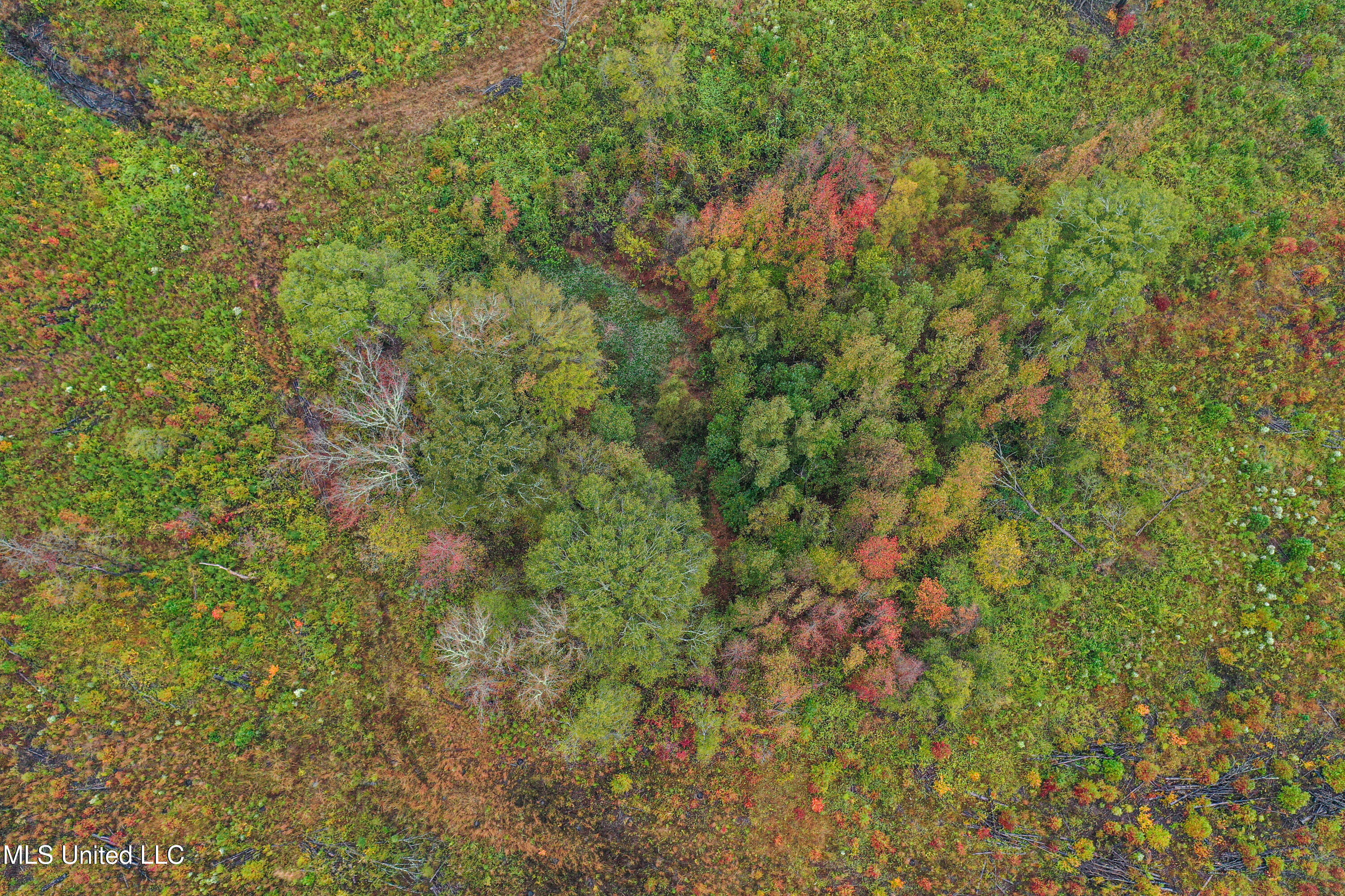 1 Alva Road Eupora, MS 39744 - Photo 16 of 17 DJI_0519