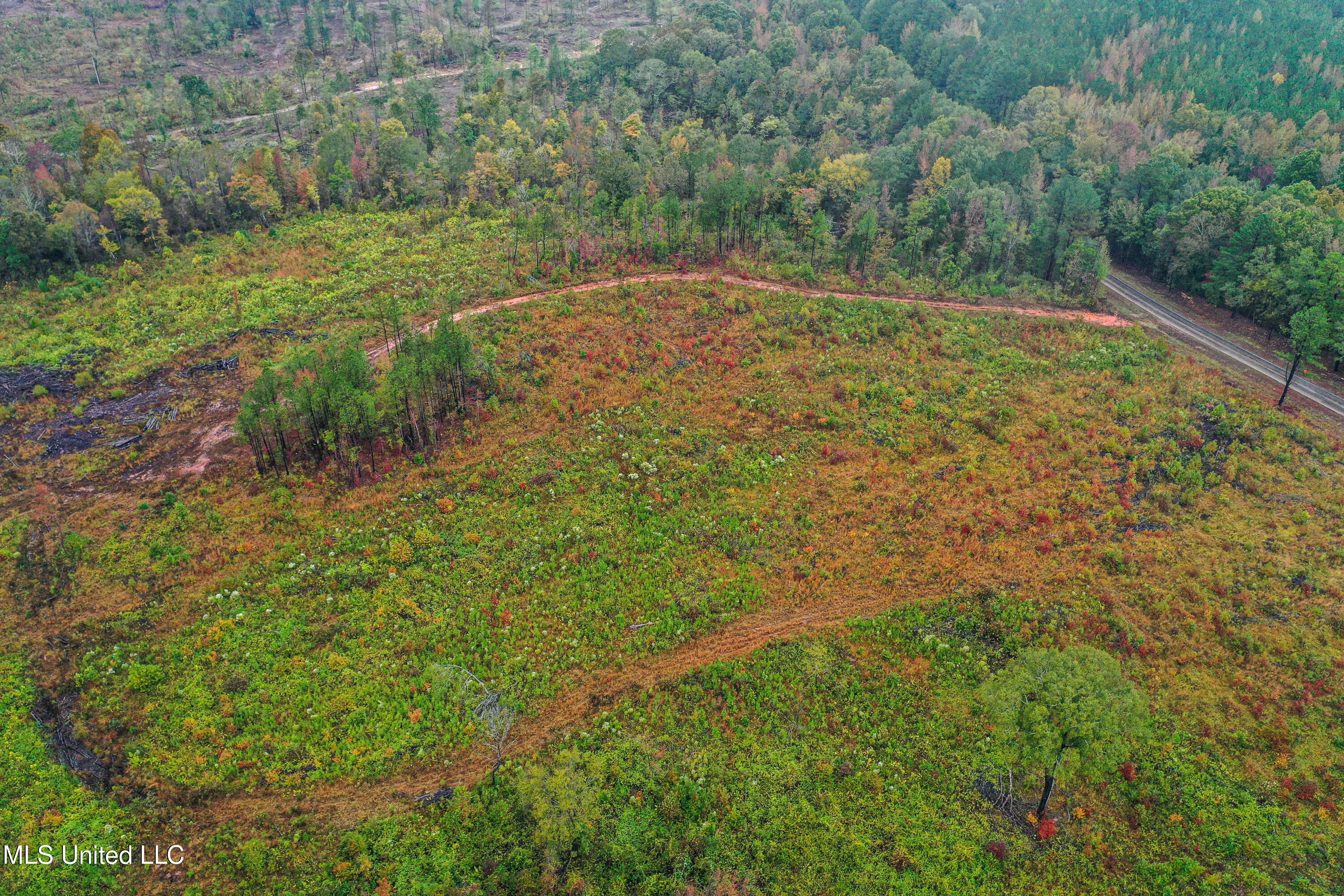 1 Alva Road Eupora, MS 39744 - Photo 17 of 17 DJI_0520