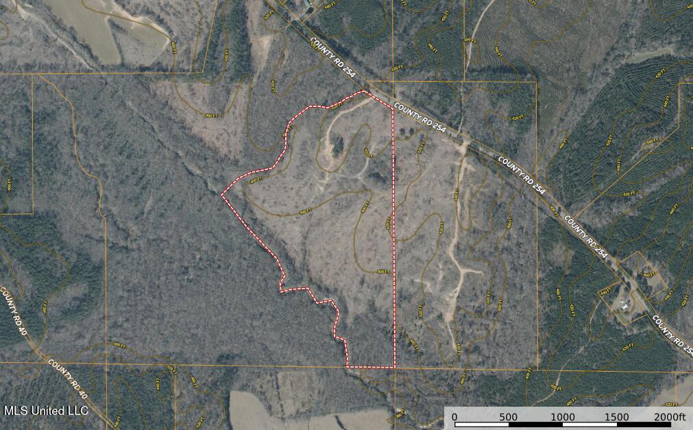 1 Alva Road Eupora, MS 39744 - Photo 2 of 16 Screenshot 2025-11-01 131927